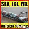 Ocean freight service and licensed customs broker