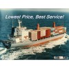 vegetable shipping RF shipping from qingdao to other port