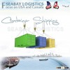 Professional sea freight forwarder from china to usa