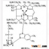 Cyanocobalamin / Vitamin B12 68-19-9