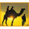 North India Tour