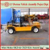 Looking for Partner to Assemble Classic Cheap Californian Mini Moke Travel Car in SKD and CKD Kits
