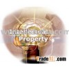 Sell Intellectual Property