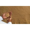 wholesale wheat dealers india
