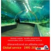 buy aquarium