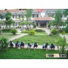 Education Services In Vietnam
