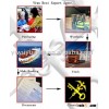 Yiwu Professional Translation Service