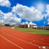 Professional Breathable Plastic Sports Runway