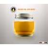 Base Oil (SN 500)