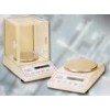 Electronic precision balance