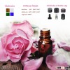 Essential Oil Glass Material Bottle/essential oil glass bottle with pipette dropper cap