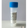 Hot sell!!! Ruxolitinib phosphate 99.0% 1092939-17-7 in Russia with fast delivery and good package