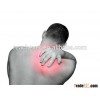 GLUCOSAMINE HCL anti-inflammatory effect that protect liver D-glucosamine hydrochloride