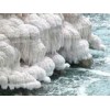 Bulk Dead Sea Salt