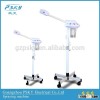 beauty salon vapor portable mini facial steamer