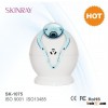 Nano Ion Platinum Facial Steamer Mini beauty Equipment home use face steamer