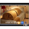 2016 the most popular far infrared spa capsule