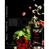 smart collection perfume