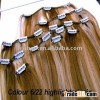 Perfectly Packaged Silky Brazilian Cuticle Aligned Clip-in Human Hair Extensions