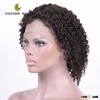 Factory wholesale remy brazilian natural curly human hair short lace wigs
