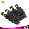 JP Hair 100% Wholesale Price High Quality Grade 8A Malaysian Hair