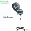 portable Competitive price Full-Automatic Moisturizer hair steamer 650w sku200