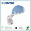 Mini O3 Facial and Hair Steamer
