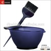 Hair coloring tinting brush with bowl for hair dye