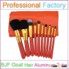 10pcs professional makeup set with perfect makeup brushes