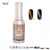 EA fashion cat's eye nail gel polish fengshangmei top coat cat eyes gel nail polish
