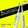 TESLA MAF 8120 Changeable head rechargeable wholesale electric toothbrush