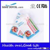 Cheap and good quality interdental brush 2pcs per blister card