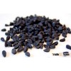 Black Cumin Oil