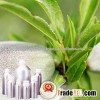 100%Pure Virgin Almond Oil