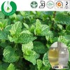 Organic Mentha Piperita Oil Mint Oil Bulk Peppermint oil