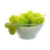 Grapeseed Carrier Oil GMP Approved
