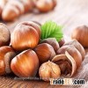 Hazelnut Oil (100% Pure in Bulk)