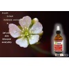 face hyaluronic acid serum different molecula weight best Italian skin care serum
