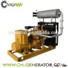 Biogas generator set , renewable energy sources and biogas plants using gas genset