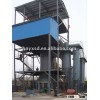 Environmental Protection Gasifier Furnace