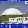 high biogas production capacity biogas digester, biogas plant