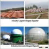 Made in china biogas plant