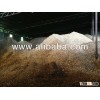 Acacia and Eucalyptus Wood Chips