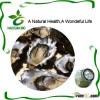 Nutritional Supplement Lyophilized Oyster Meat Powder