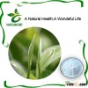 Nutritional Supplement Tea Polyphenols