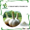 Nutritional Supplement Garlic Extract