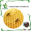 Nutritional Supplement Propolis Powder