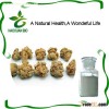 .Nutritional Supplement Sanchinoside