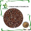 Nutritional Supplement Fenugreek Seed Extract