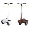 Commercial Self Balancing Electric Off Road Segway With Brushless Motor
